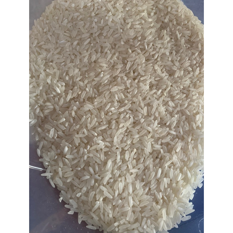 Jual beras jawa pulen punel ( lamah ) kualitas super | Shopee Indonesia