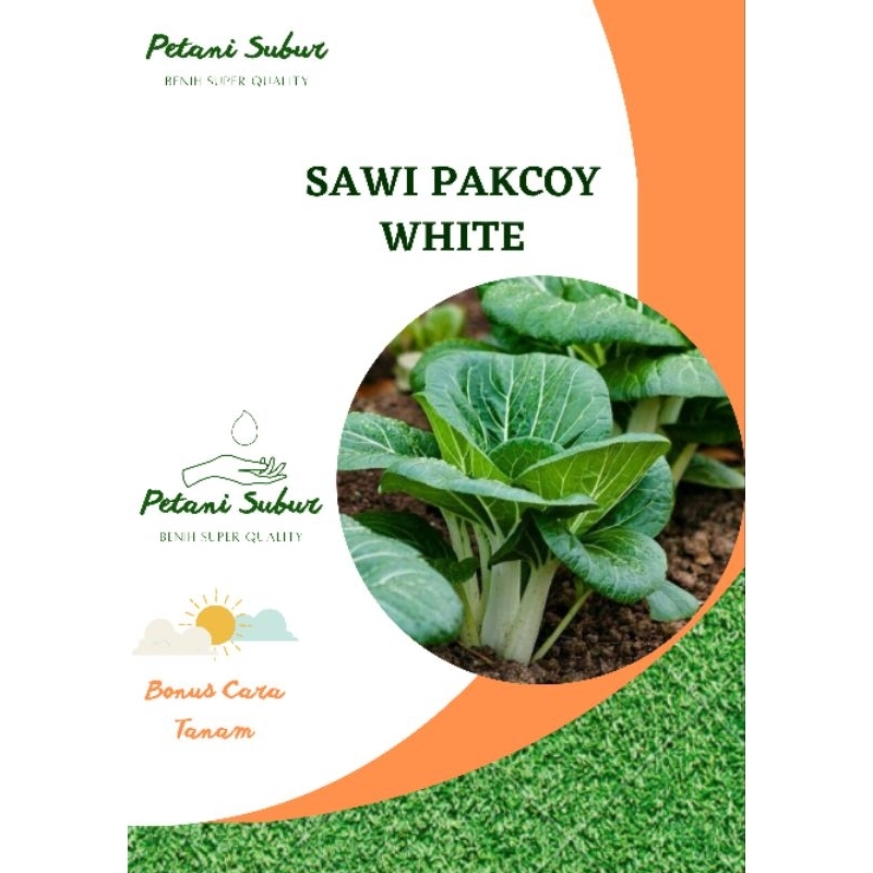 Jual 100 Biji Benih Sawi Pak Choy White Pakchoy Putih Shopee Indonesia