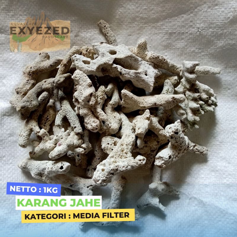 Jual Karang Jahe Media Filter dan Menaikkan PH Air Aquarium atau kolam
