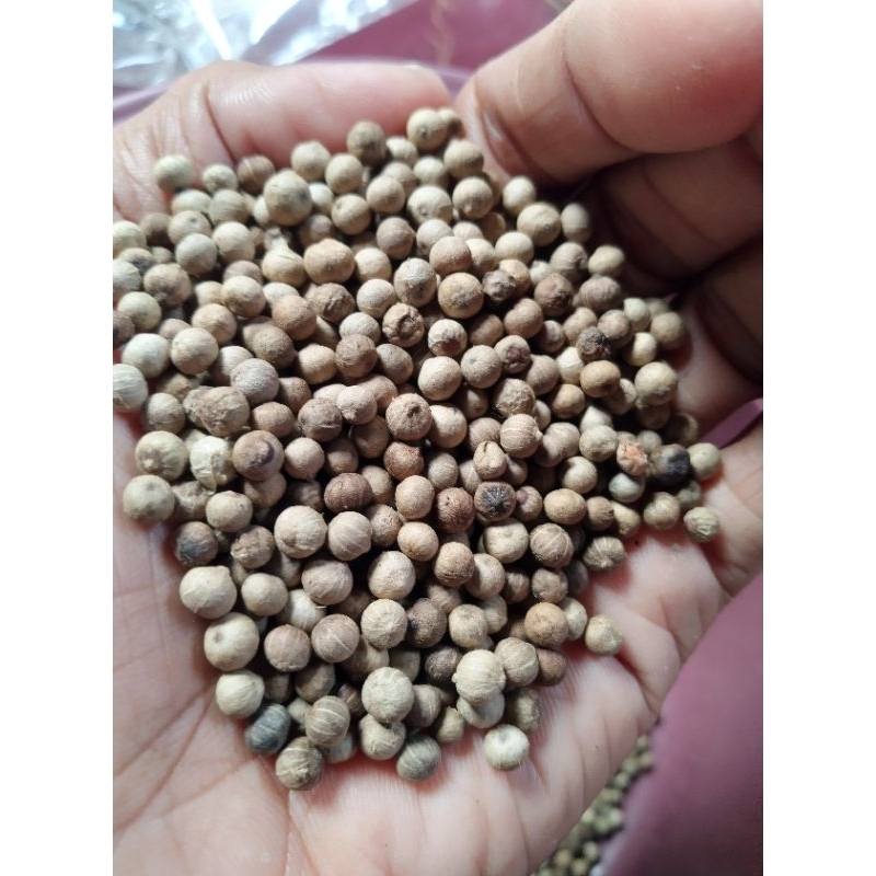 Jual Biji Lada Putih Merica Putih Butir 100gr Shopee Indonesia