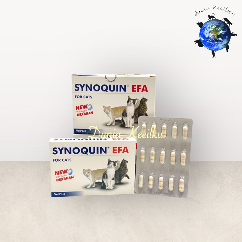 Synoquin efa shop for cats