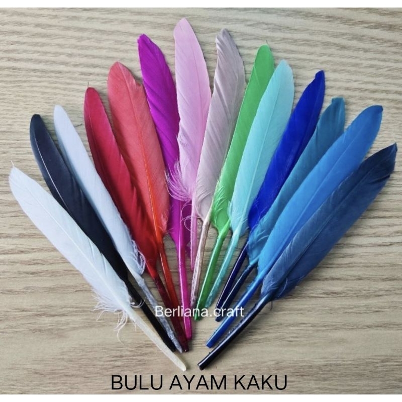 Jual 12 Pcs Bulu Ayam Keras Dan Halus Shopee Indonesia