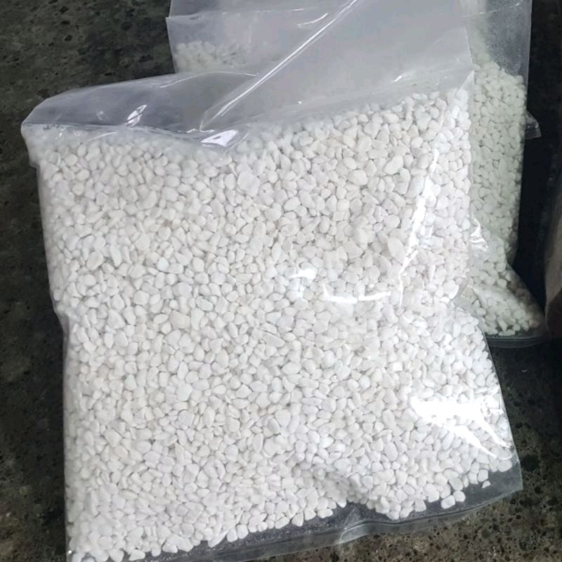 Jual Perlite Halus Media Tanaman Hias Kaktus Shopee Indonesia