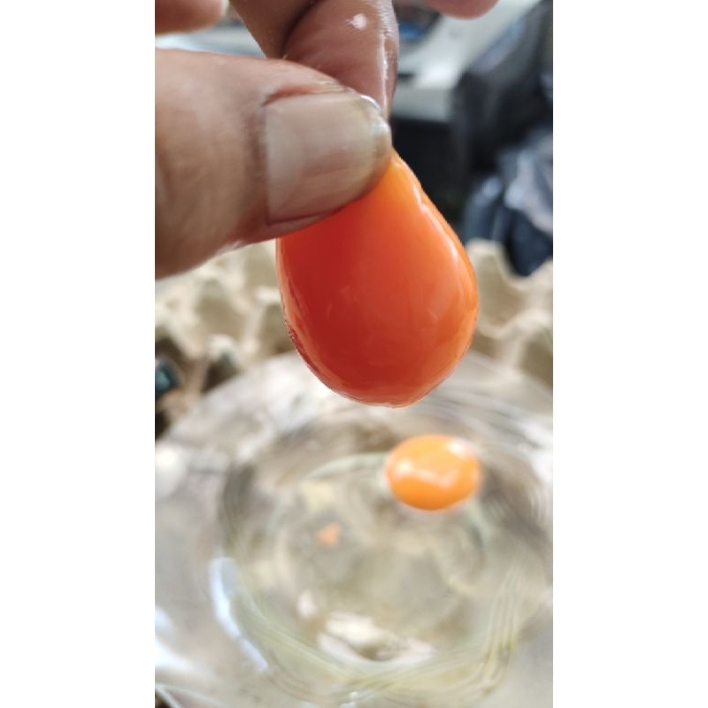 Jual TELUR AYAM NEGRI Fresh (manik kuning / biasa ) | Shopee Indonesia