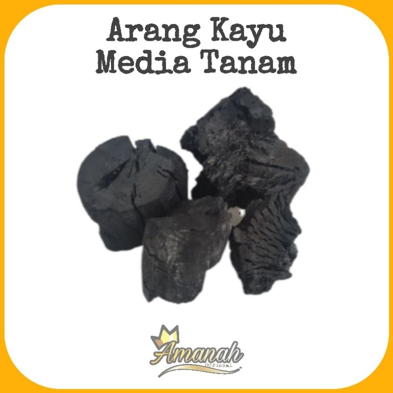 Jual ARANG KAYU 1KG ARENG KAYU MEDIA TANAM WOOD CHARCOAL LUMP