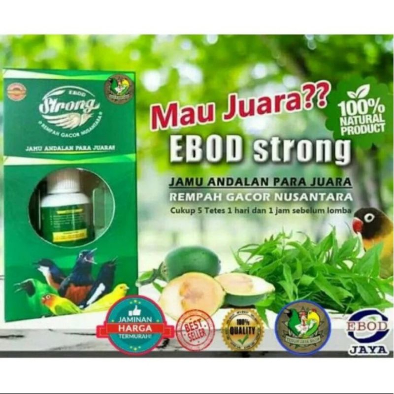 Jual ebod strong original | Shopee Indonesia