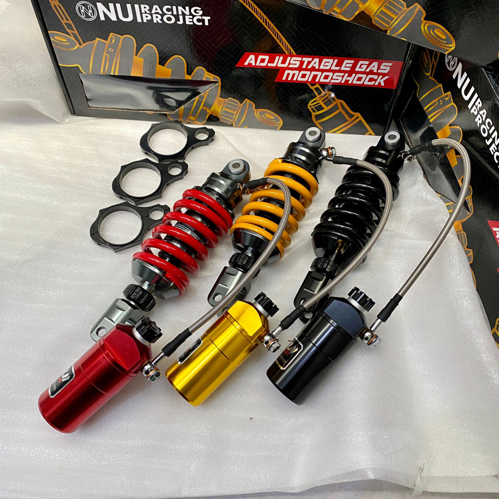r25 monoshock