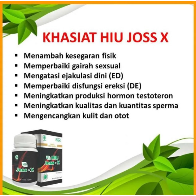 Jual Oles Pembesar Pennis Permanen Original Obat Pemanjang Mr P Ori