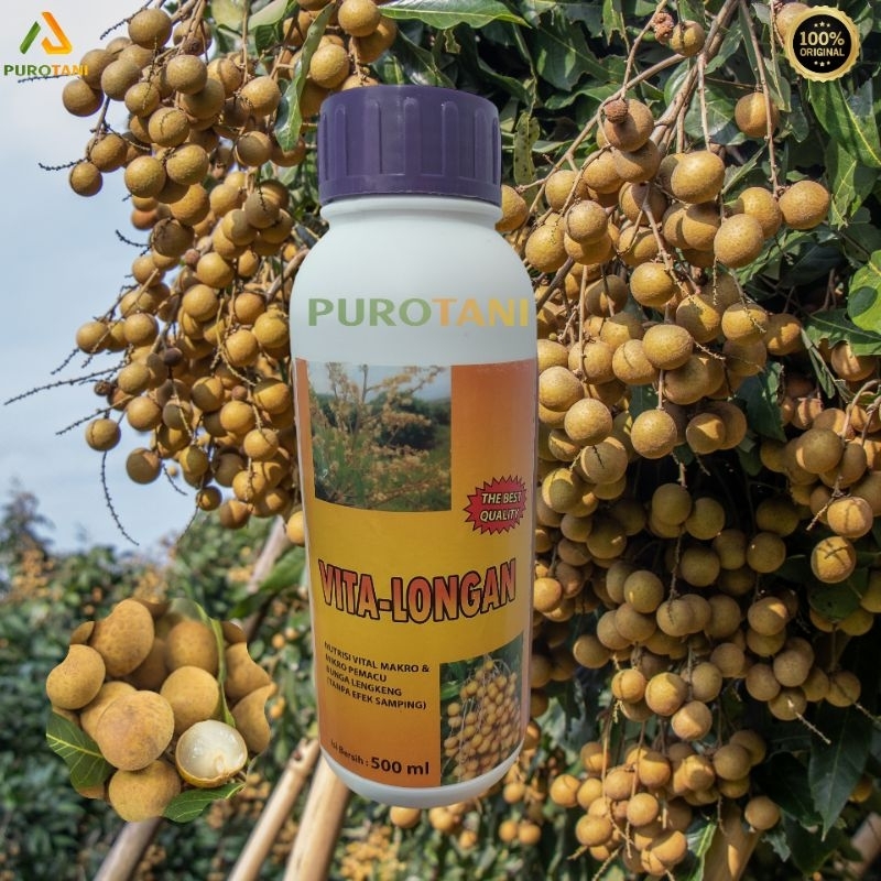 Jual Pupuk Booster Kelengkeng Vitalongan Boster Lengkeng Vita Longan