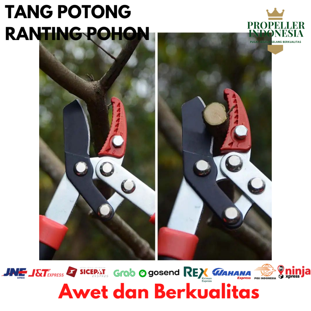 Jual Gunting Dahan Ranting Pohon 53CM 75CM 100CM Bercabang Tebal ...