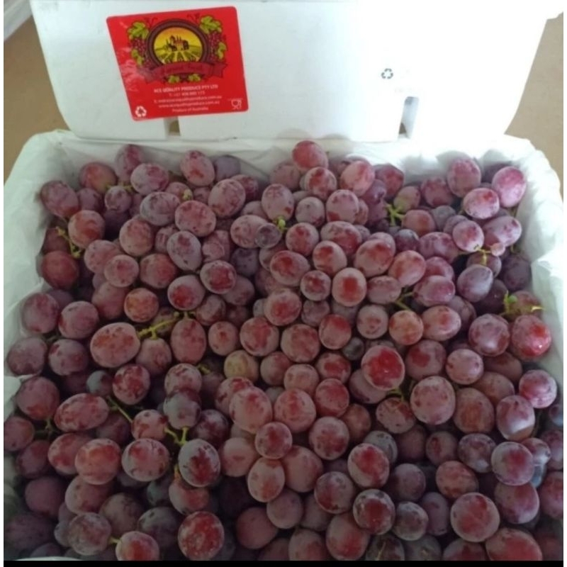 Jual Anggur Merah Australi/Chili/Peru 1 Box | Shopee Indonesia