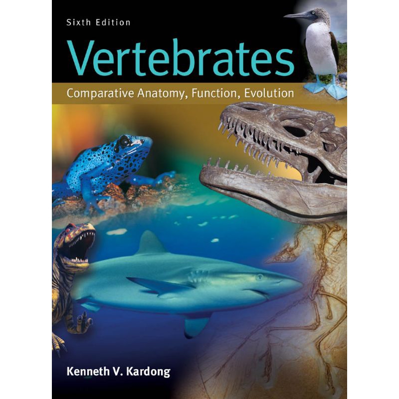 Jual vertebrates comparative anatomy function evolution | Shopee Indonesia