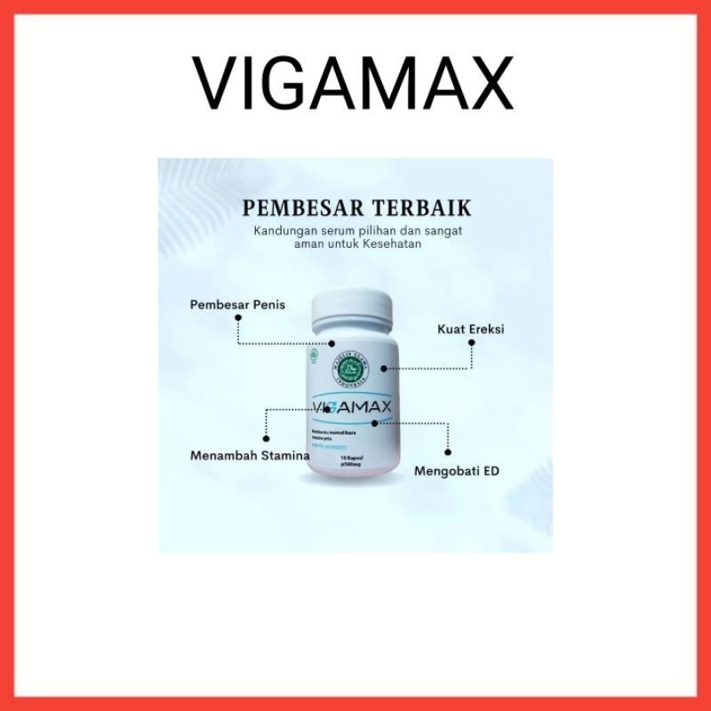 Jual Vigamax Obat Vitalitas Pria Original Penunjang Performa Oria