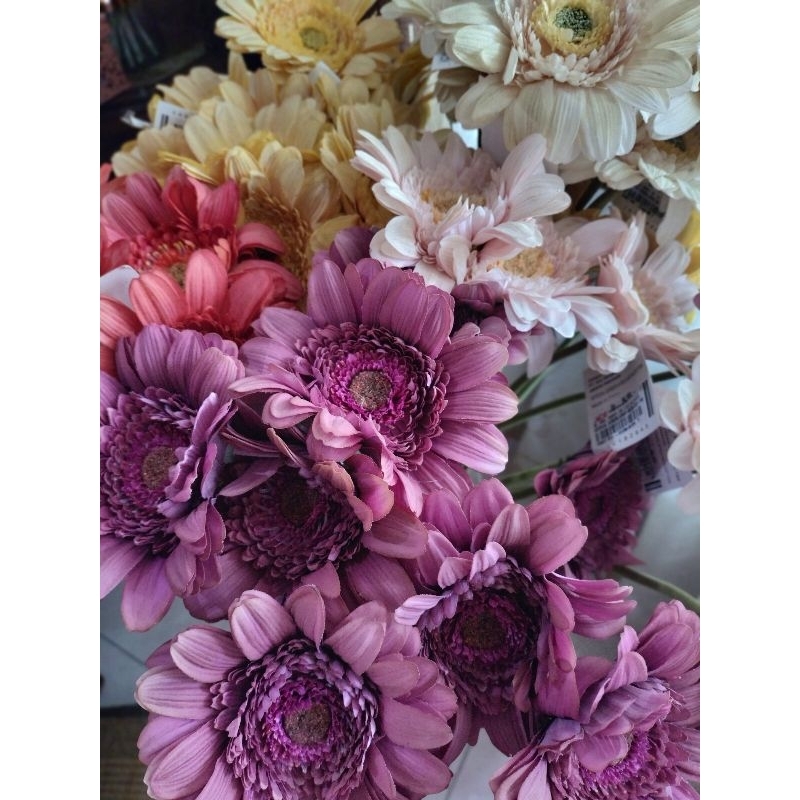 Jual DEFECT ALLERT! Gerbera artifisial defect, produk bekas display ...