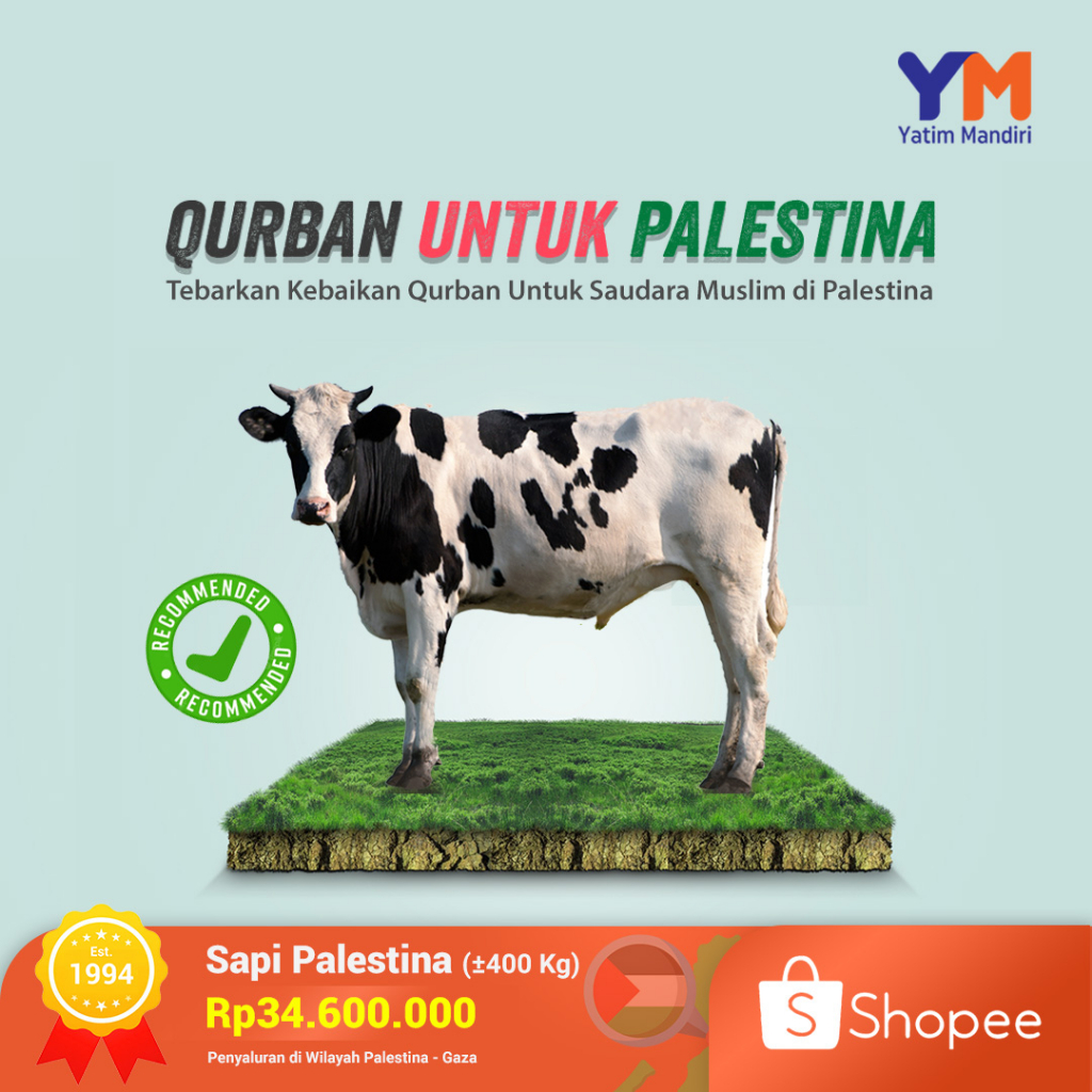 Jual Yatim Mandiri - Qurban Sapi 1 Ekor Palestina | Shopee Indonesia