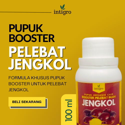 Jual Pupuk Jengkol Booster Jengkol Pupuk Booster Pohon Jengkol, Pupuk