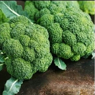 Jual Brokoli 1 Kg Terlengkap & Harga Terbaru Juli 2024 | Shopee Indonesia