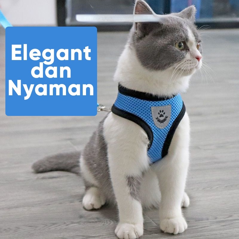 Jual Rompi Kucing Rompi Harness + Tali Tuntun kucing anjing cat dog ...