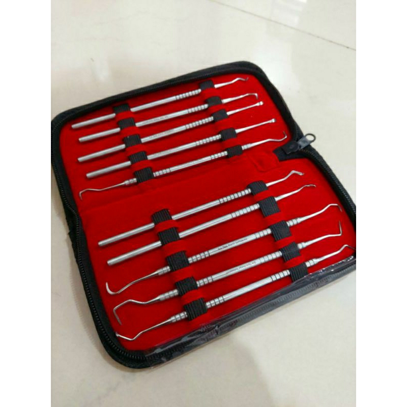 Jual Dental periodontal instrument Scaler Manual isi 10 senshan AKL ...