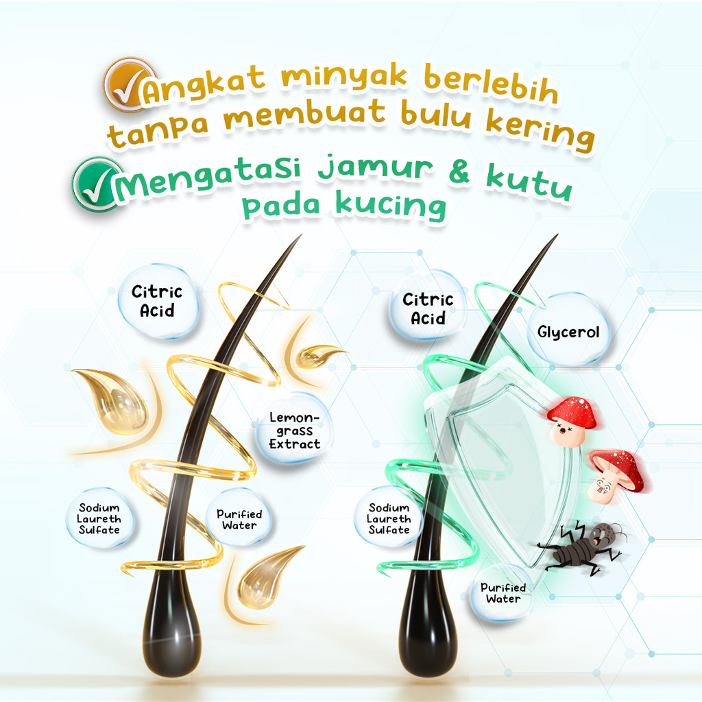 Gambar Produk 4