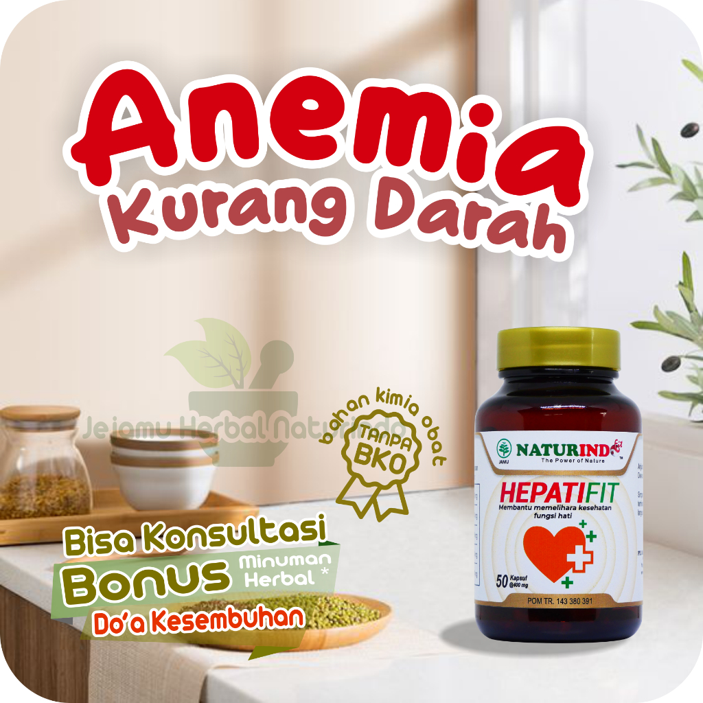 Jual Obat Anemia Kurang Darah Penambah Darah Meningkatkan HB Darah ...