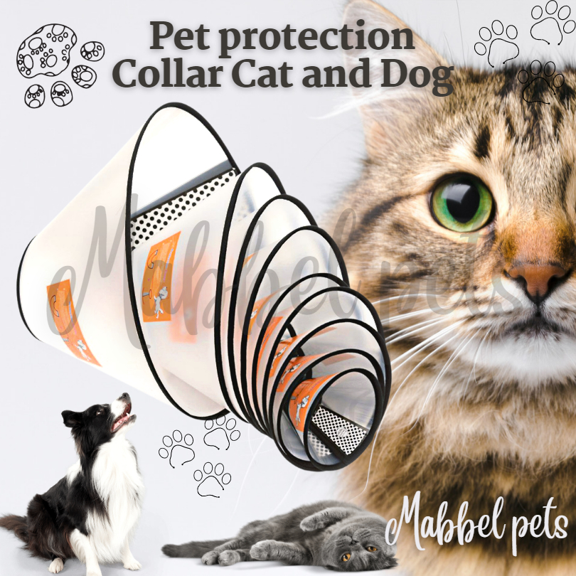 Jual Pet Protection Collar Elizabeth Collar Kucing | Shopee Indonesia