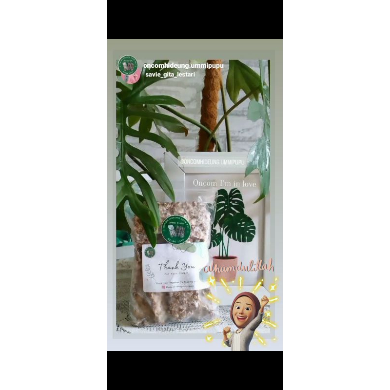 Jual Oncom Hitam 100% ASLI (ISI 50 PCS) | Shopee Indonesia