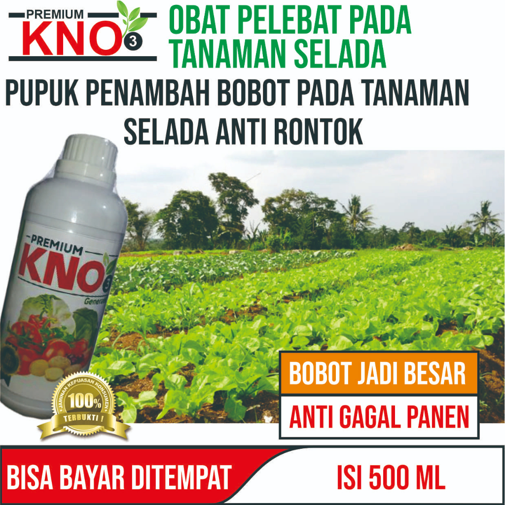 Jual PUPUK Premium Kno3 500 ML Pupuk Semprot Pelebat Tanaman Selada ...