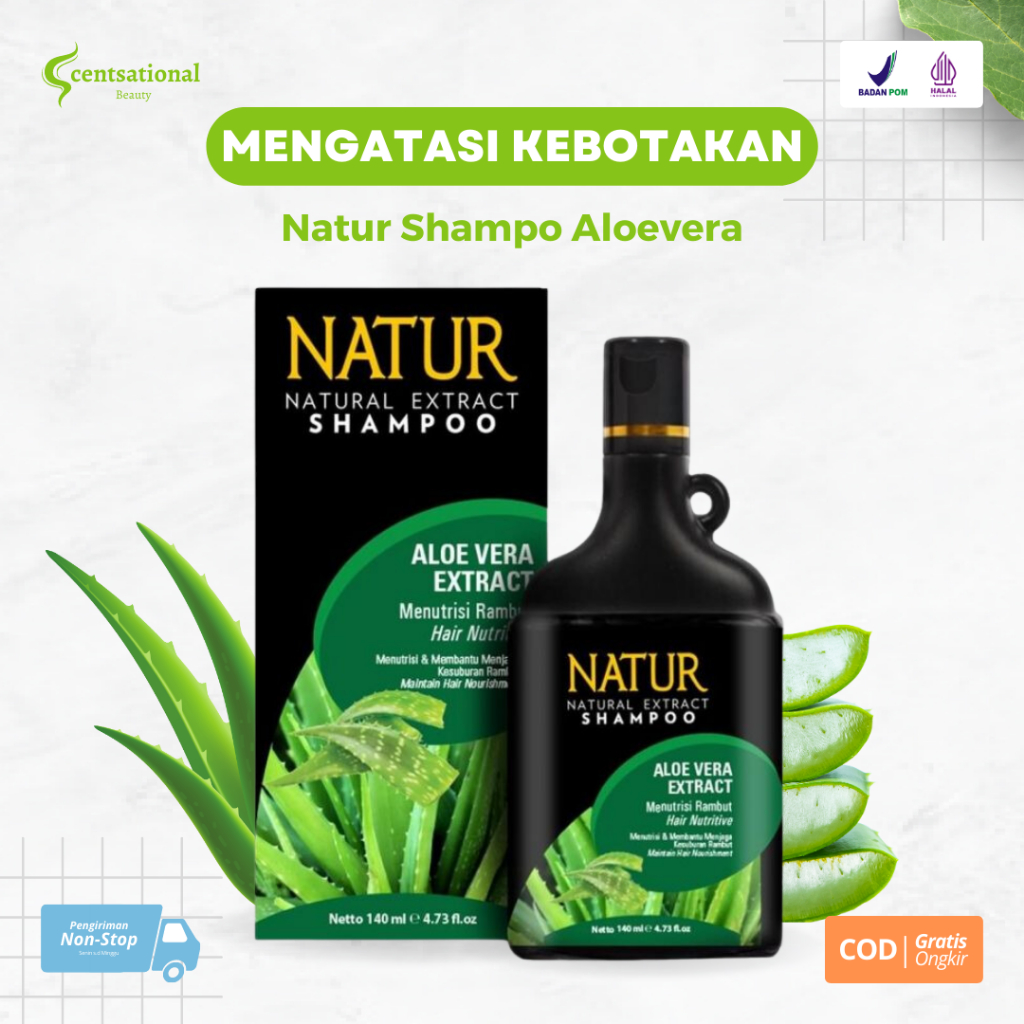 Jual Sampo Natur Aloe Vera Alami Organik Ramah Lingkungan Dengan Bahan ...