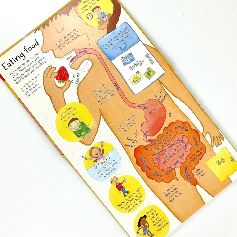 Jual USBORNE Look Inside Your Body | Shopee Indonesia