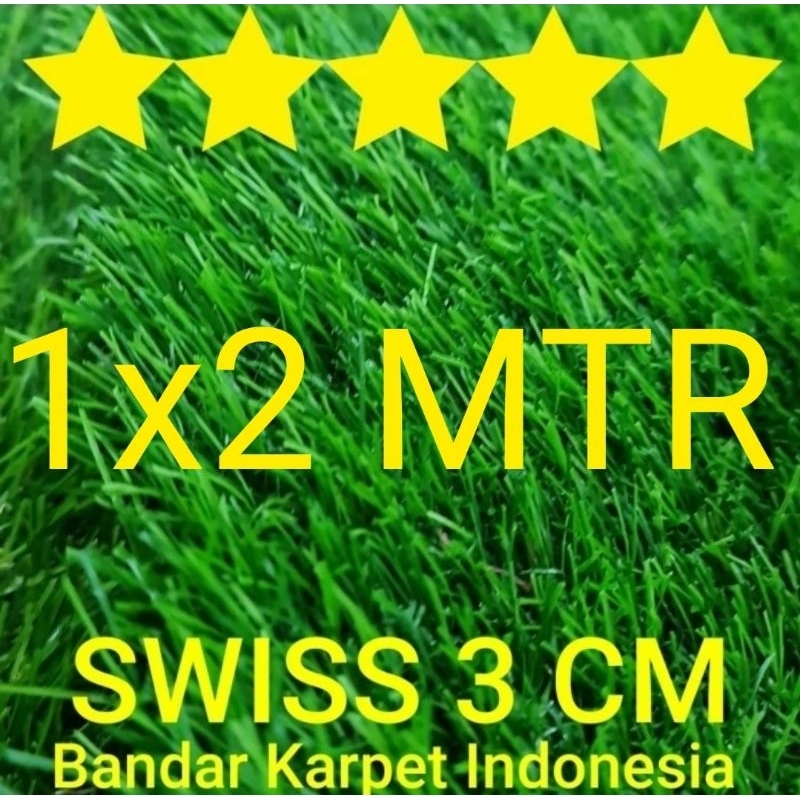 Jual Rumput Sintetis Swiss Premium Tebal Cm Uk X M Terlihat Rumput Asli Shopee Indonesia