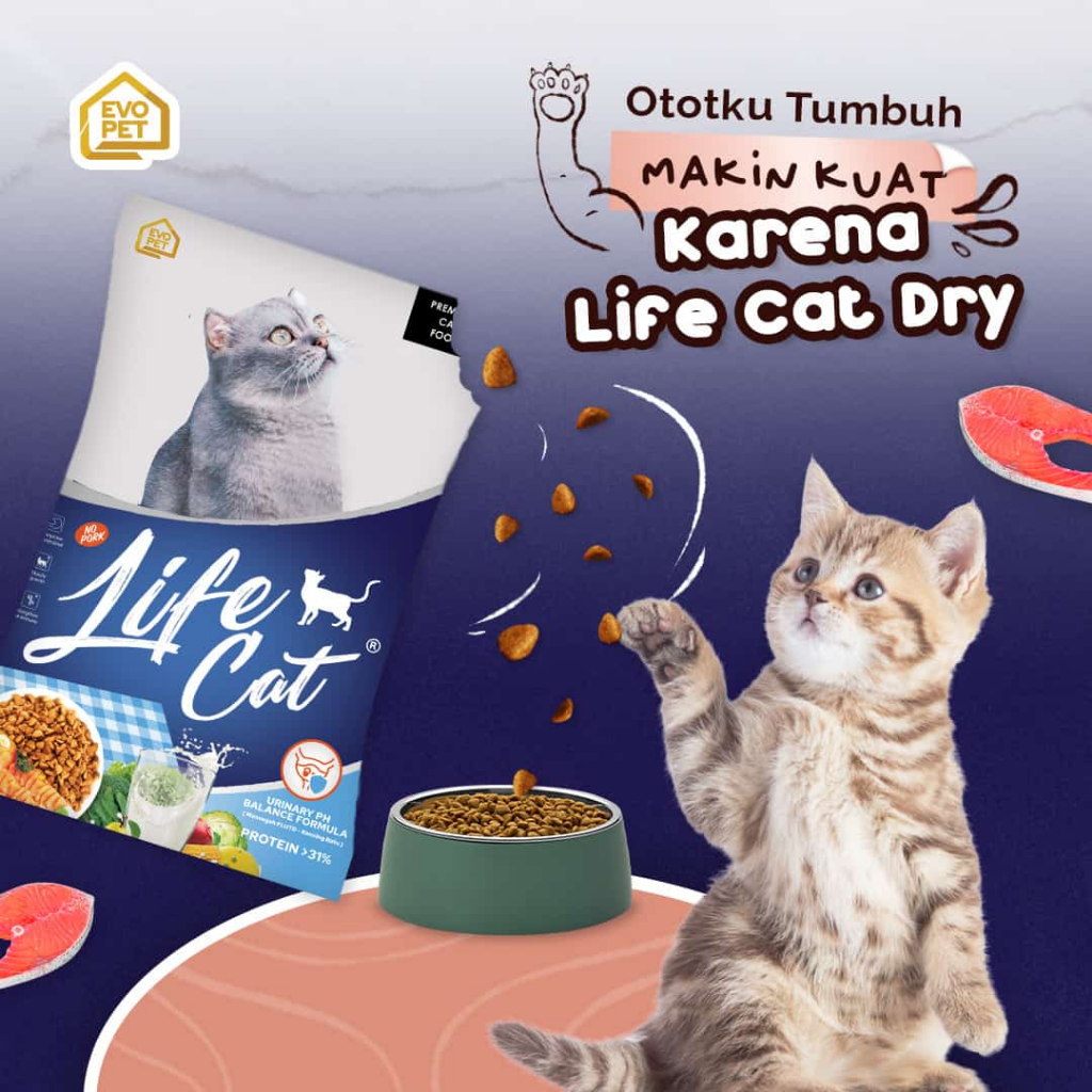 Jual LIFE CAT DRY FOOD MAKANAN KUCING KERING KEMASAN 800 GRAM Shopee