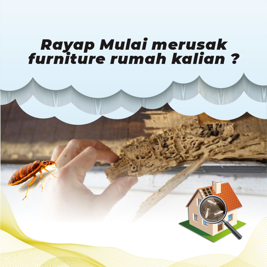 Jual RayKiller - Anti Rayap Obat Pembasmi Rayap Ampuh 250ML | Shopee ...