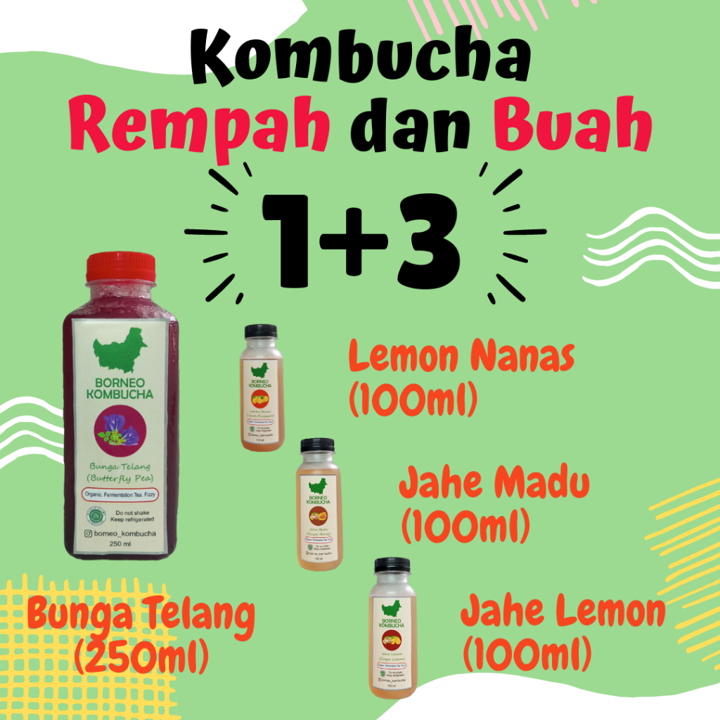 Jual Kombucha Buah dan Rempah Kaya Manfaat (1x250ml + 3x100ml) - Teh ...