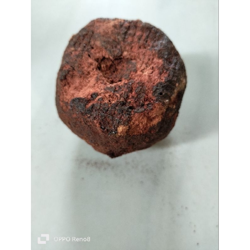 Jual Getah Gambir Maha Bunga Gambir Medan Gambir Merah Ukuran Besar ...