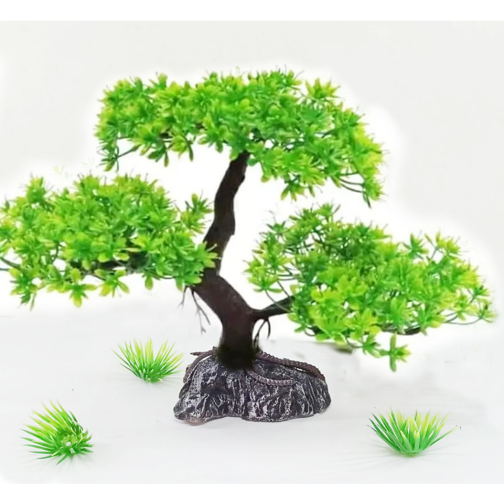 Jual Hiasan aquarium tanaman bonsai, bonsai aquarium, dekorasi aquarium
