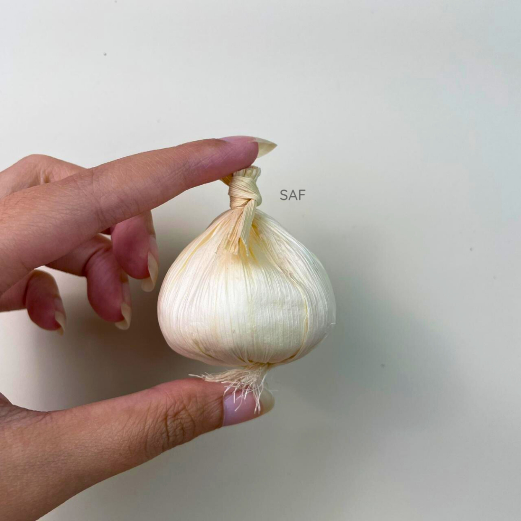 Jual SAF Bawang Merah Bawang Putih Palsu (Fake Garlic) / Buah-buahan ...