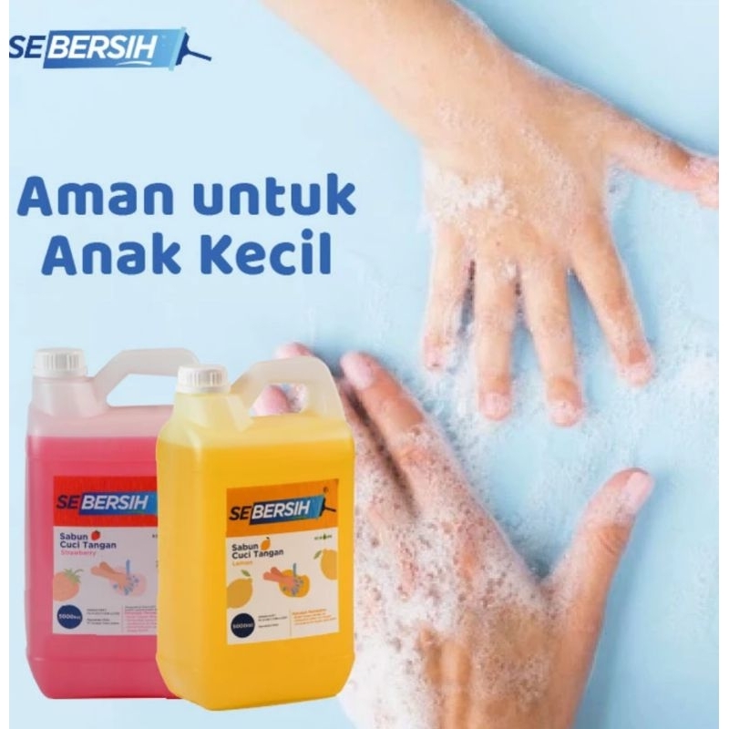 Jual (INSTAN/SMDY) Sabun Cair Cuci Tangan/Handsoap/Hand wash SEBERSIH 5 ...