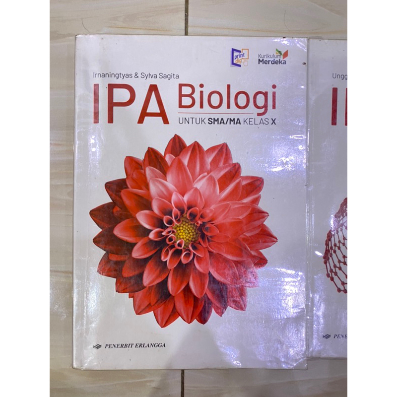 Jual Buku IPA Biologi SMA Kelas 10 (X) Kurikulum Merdeka | Shopee Indonesia