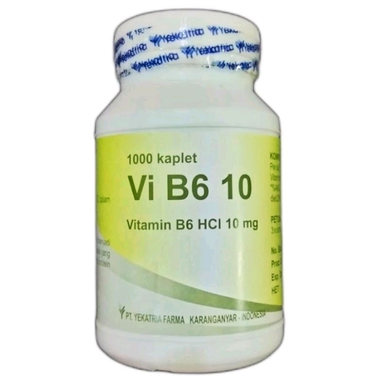 Jual VI B6 10 - Vitamin B6 10mg (1000's /Botol) | Shopee Indonesia