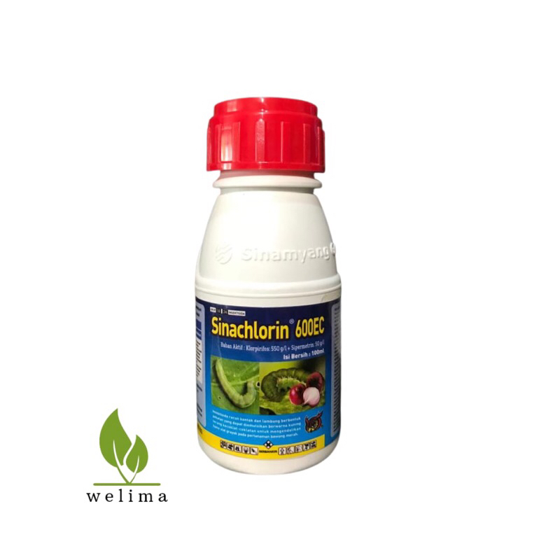 Jual Insektisida Sinachlorin 600Ec Klorpirifos plus Sipermetrin 100ml ...