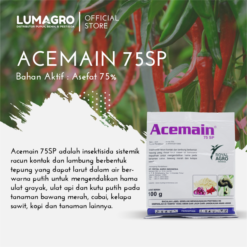 Jual Insektisida Acemain 75SP 100GR Asefat Pengendali Kutu Kebul dan ...