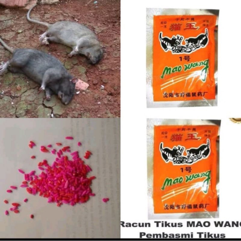 Jual Racun Tikus Mao Wan 100 Mati Kering Shopee Indonesia