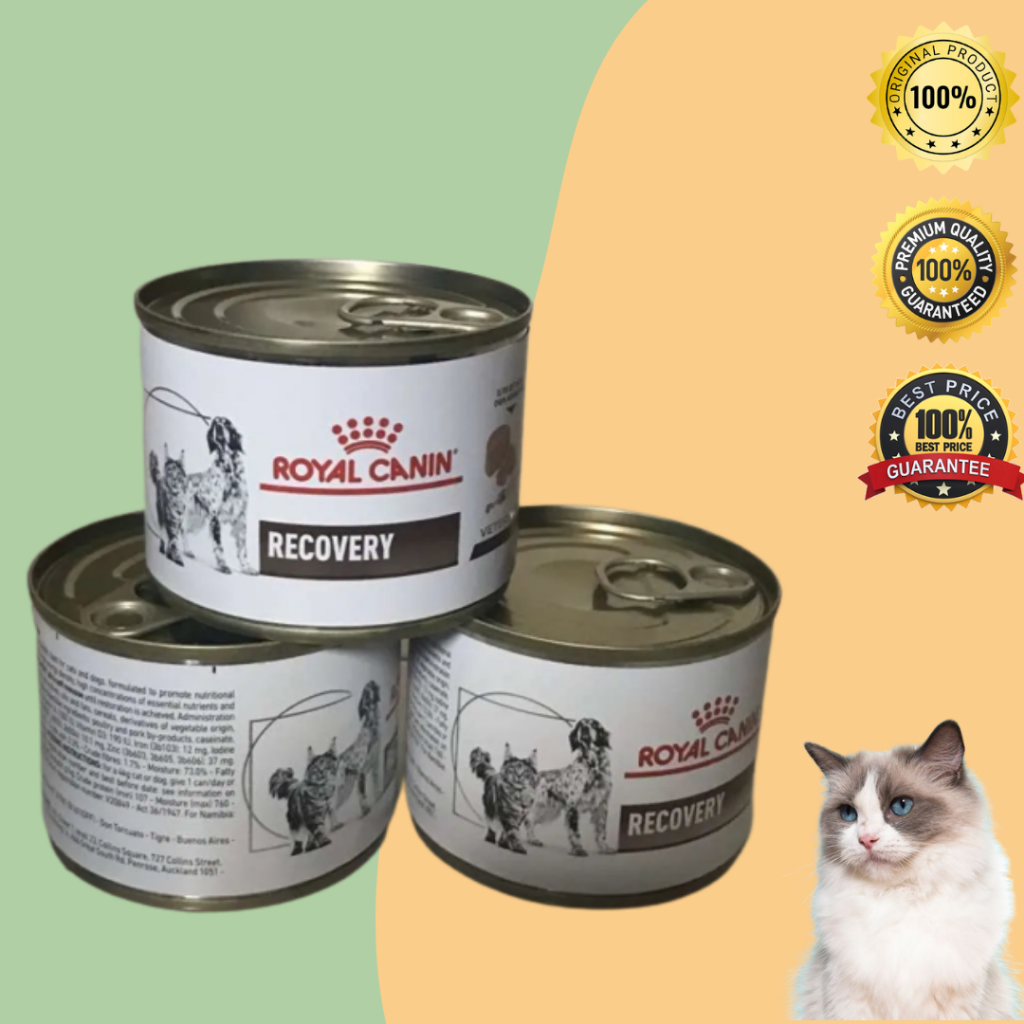 royal canin recovery 195gr