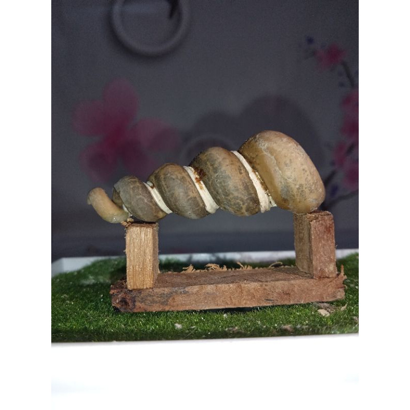Jual barang sesuai foto temuan alam barang antik unik | Shopee Indonesia