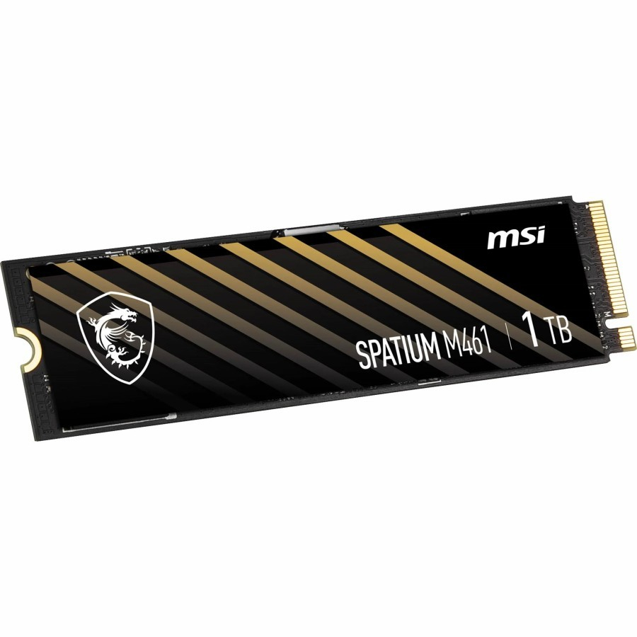 Jual MSI SPATIUM M461 1TB PCIe 4.0 NVMe M.2 SSD | Shopee Indonesia