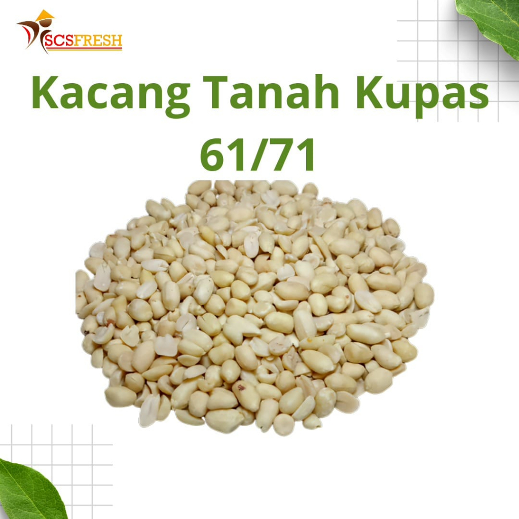 Jual Kacang Tanah Kupas Ukuran Kecil 6171 Berat 1kg Shopee Indonesia