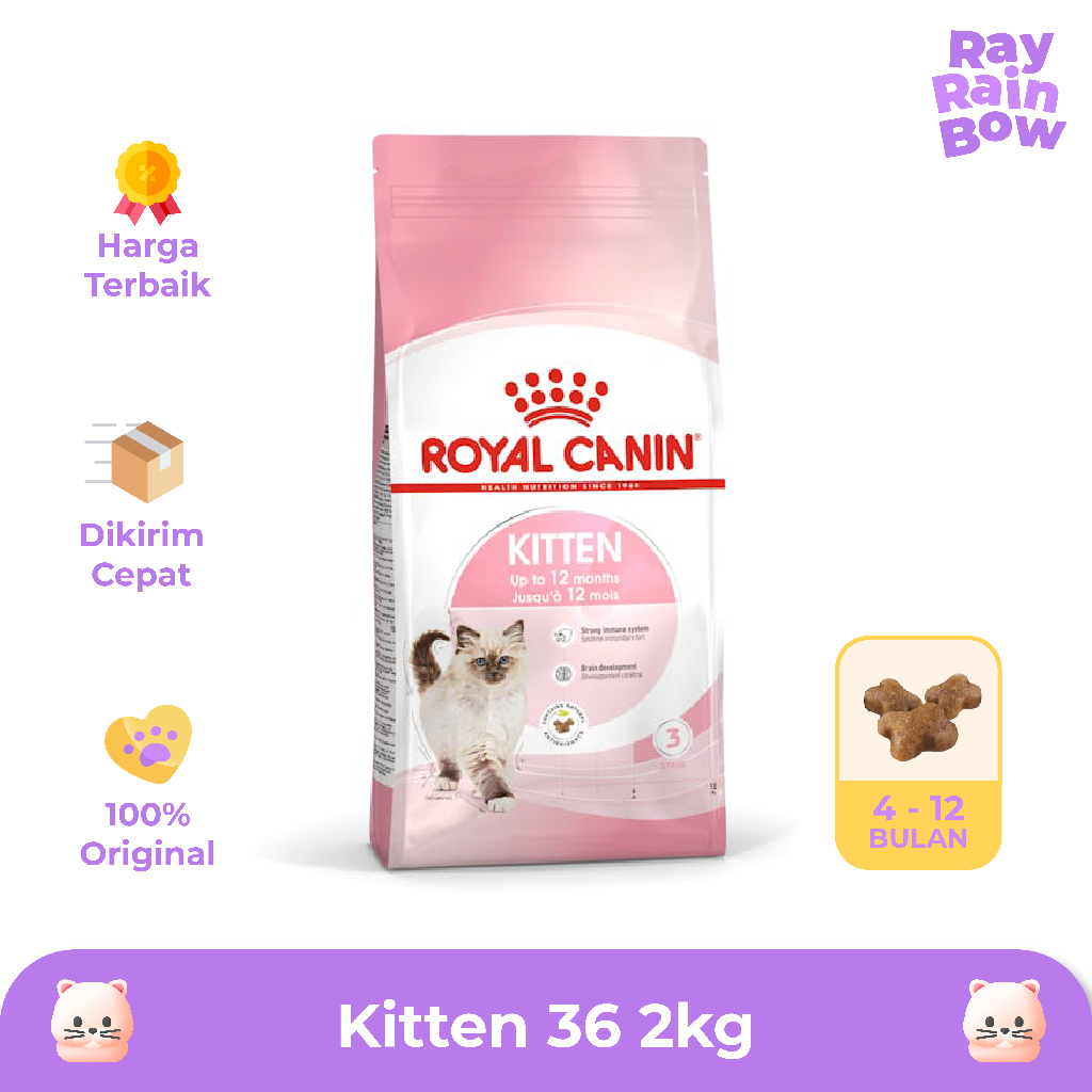 Royal canin clearance kitten harga