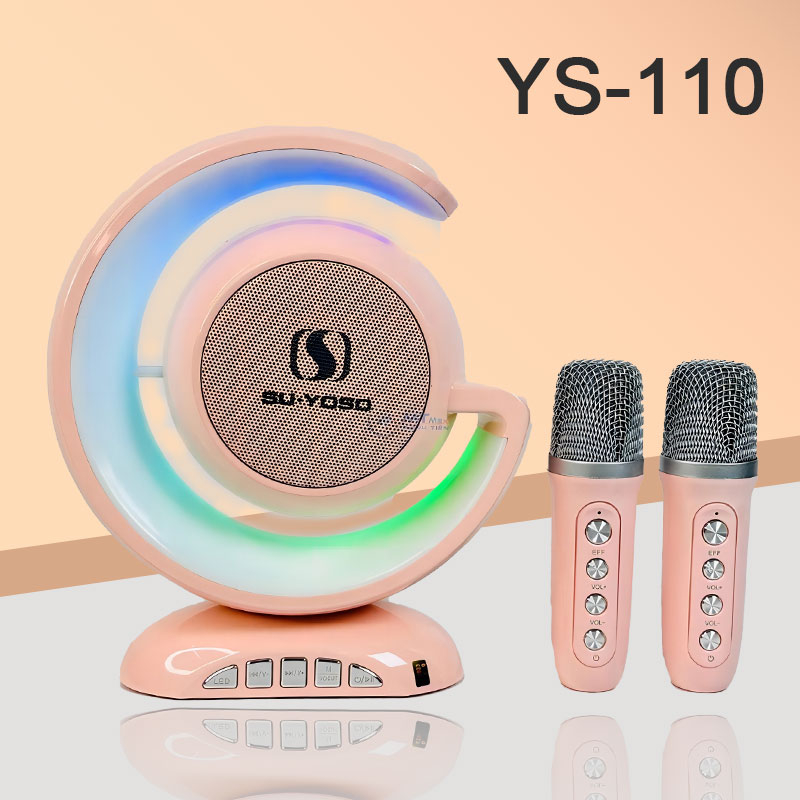 YS110 - ホビーラジコン