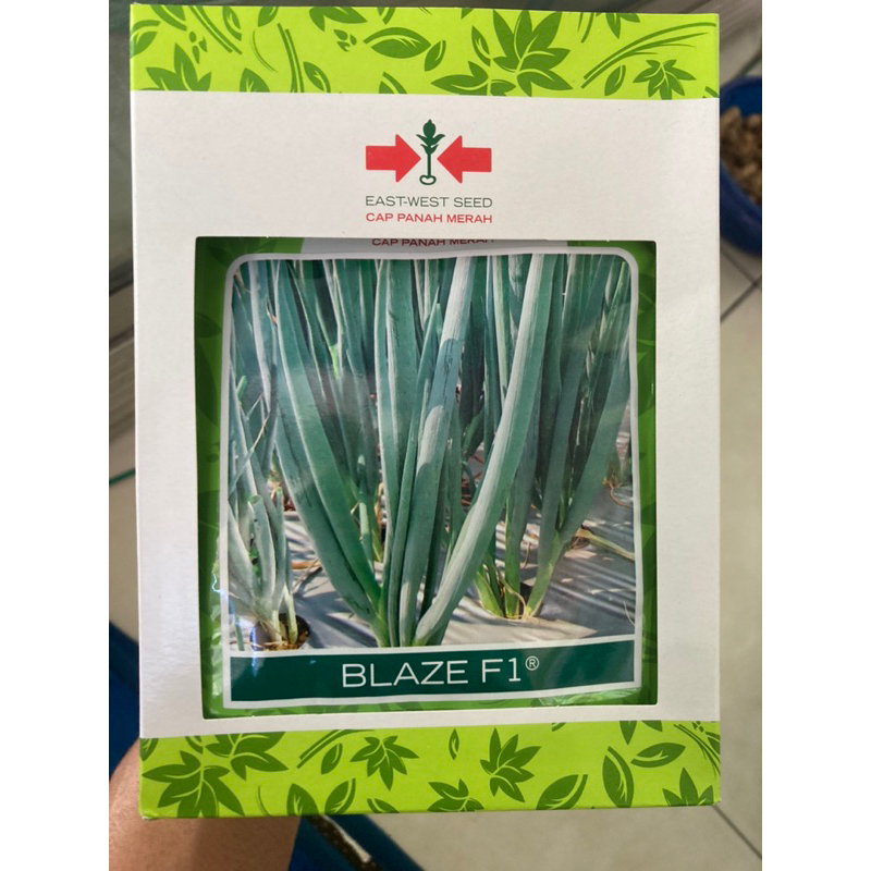 Jual Benih Bibit Daun Bawang Blaze F Gr Shopee Indonesia